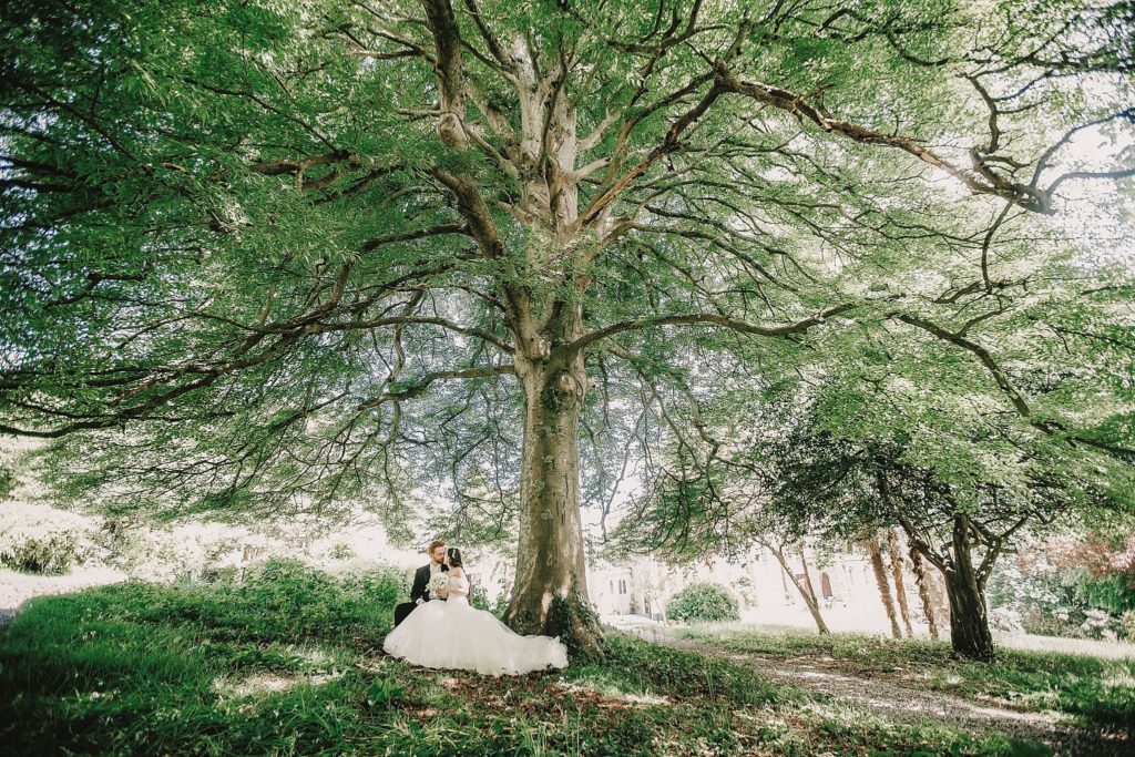 The Alverton Hotel wedding photographer Tree bride and groom
